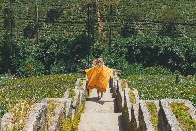Kandy & Nuwara Eliya | 2 Days Tour - Two hours in Nuwara Eliya, Sri Lanka’s Little England