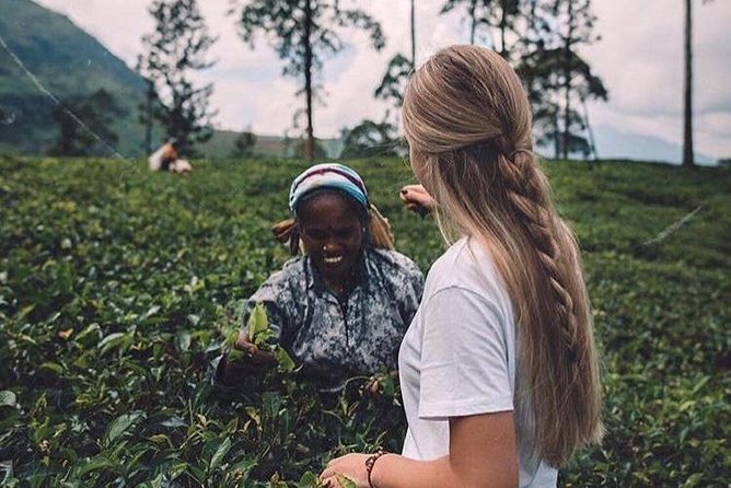 Kandy & Nuwara Eliya | 2 Days Tour - Seeing Kandy from Upper Lake Drive