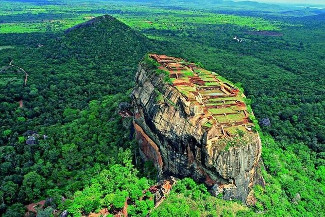 Minneriya Elephant Safari wth Sigiriya Lion Rock from Colombo - The 6:00 am start from Colombo