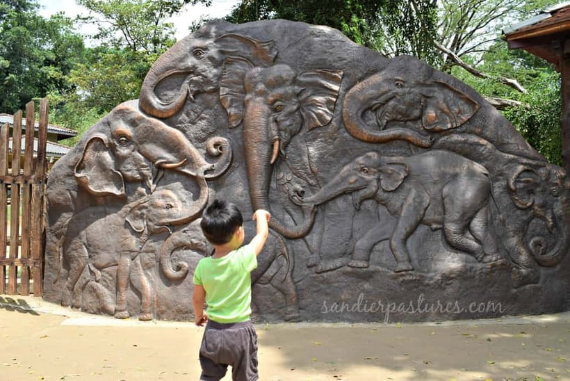 Negombo: Kandy and Pinnawala Elephant Orphanage Day Tour - The early start from Negombo or Colombo
