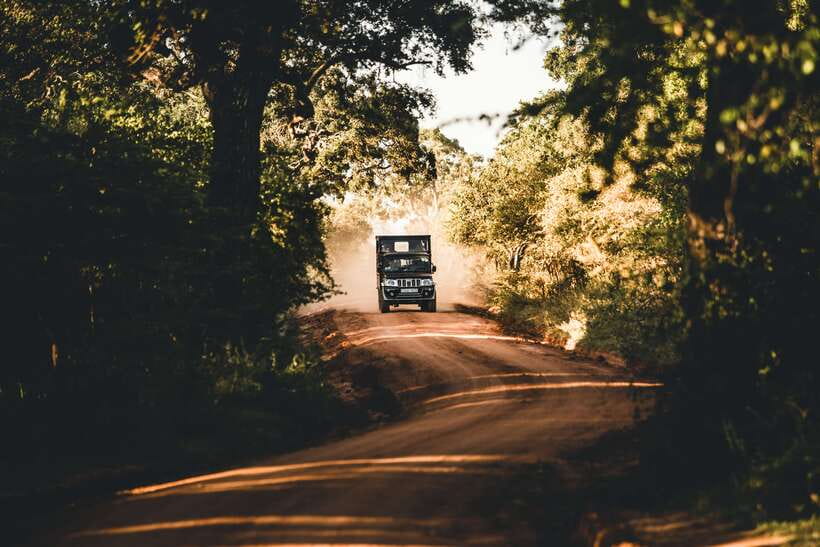 Overnight Treehouse Safari at Yala National Park - Key points at a glance