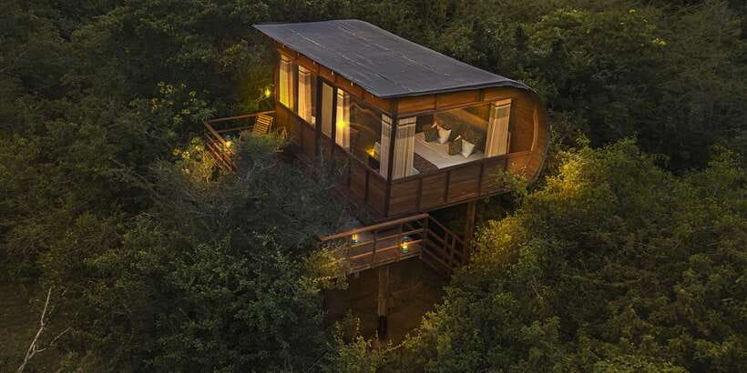Overnight Treehouse Safari at Yala National Park - Who should book this safari