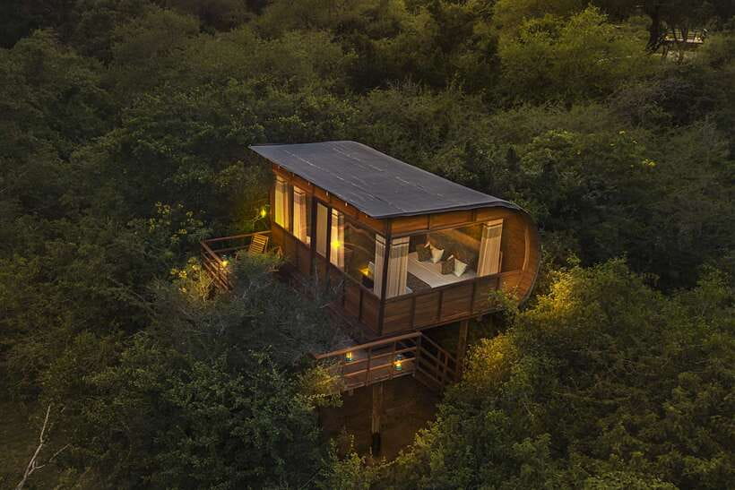 Overnight Treehouse Safari at Yala National Park - Why this Yala night feels different