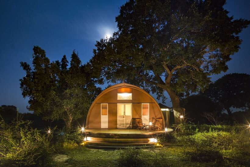 Overnight Treehouse Safari at Yala National Park - Arriving at Leopard Nest