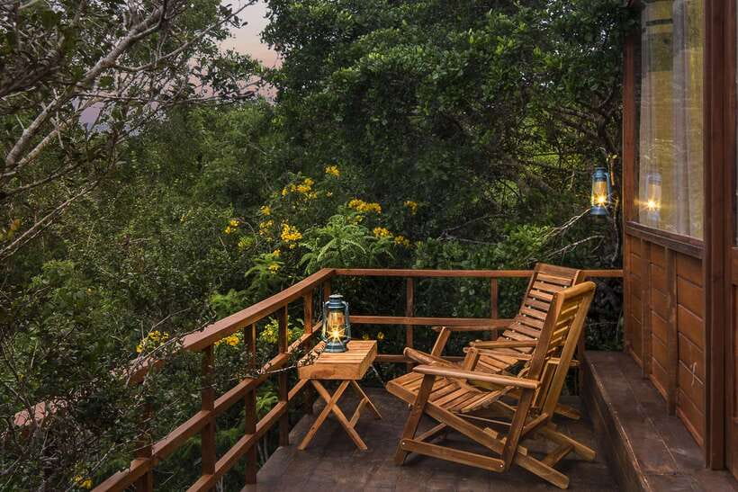 Overnight Treehouse Safari at Yala National Park - The evening jeep safari in Yala