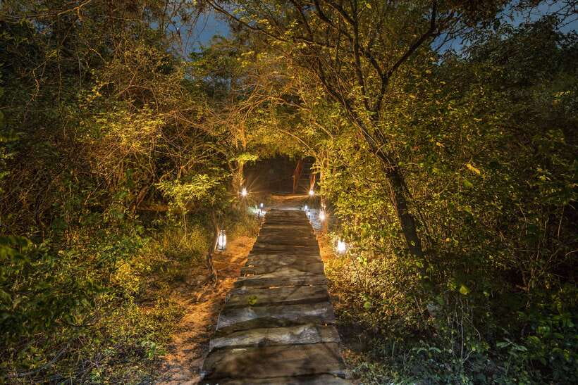 Overnight Treehouse Safari at Yala National Park - What the $549 price really buys