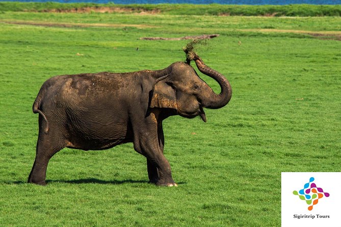 Personal Driver For Your Two Weeks Round Tour In Sri Lanka - What the $1,500 price really means