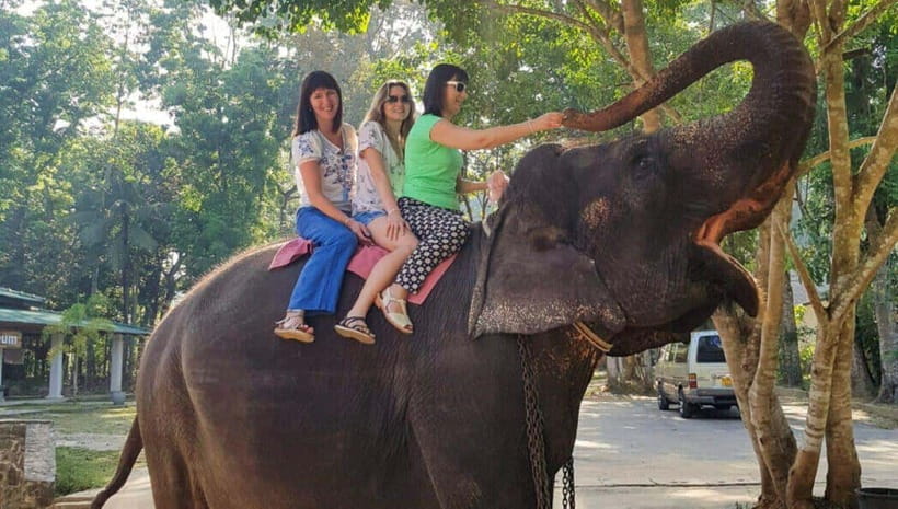 Pinnawala,Kandy Day Tour from Colombo/Negombo - The road from Colombo or Negombo