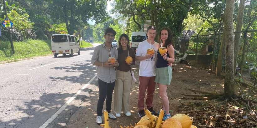 Pinnawala,Kandy Day Tour from Colombo/Negombo - Learning how Ceylon tea is made