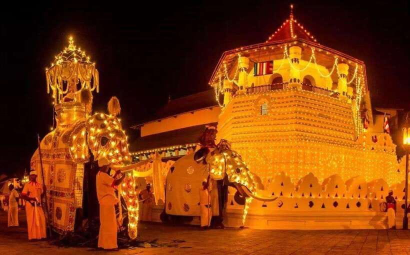 Pinnawala,Kandy Day Tour from Colombo/Negombo - Pinnawala and the elephant bathing session