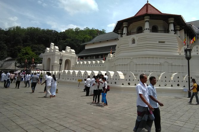 Private Day trip Kandy & pinnawala with your selected attractions - Why this Colombo to Kandy trip works