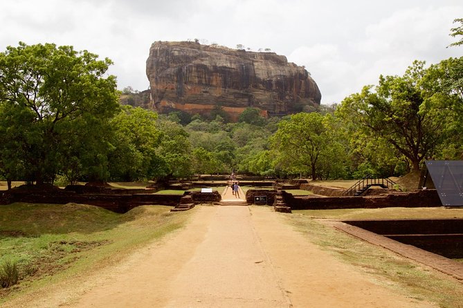 Private Day Trip to Sigiriya, cave and National park Safari Tour - The driver is your guide, timekeeper, and safety net