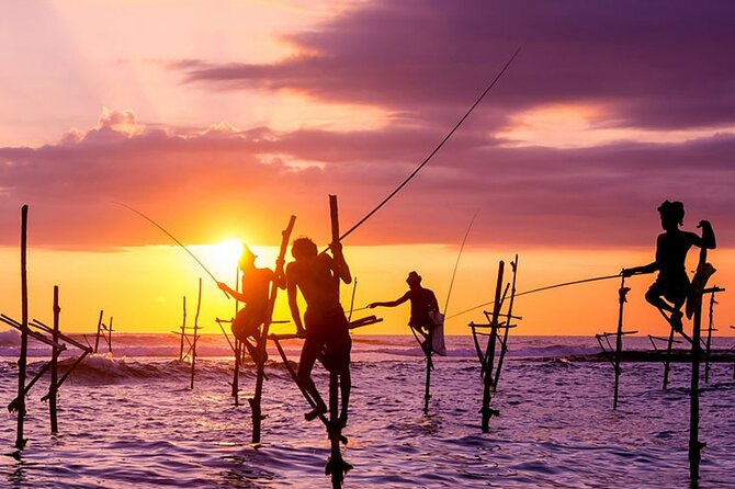Private Day Trip to Yala National Park from Colombo - Four hours inside Yala National Park