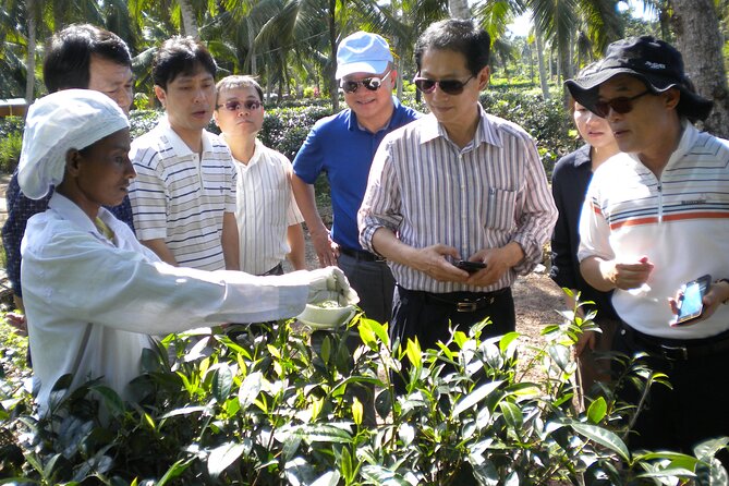Private Galle Day Tour with Boat Safari & Tea Factory Visit - All Inclusive - Entering Galle Dutch Fort