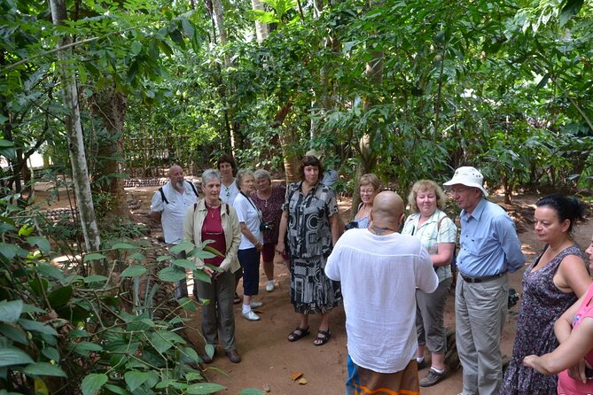 Private Galle Day Tour with Boat Safari & Tea Factory Visit - All Inclusive - Lunch, Water, and What $135 Covers