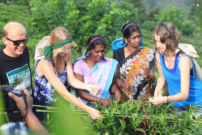 Private Galle Day Tour with Boat Safari & Tea Factory Visit - All Inclusive - Turtle Hatchery and Coastal Conservation