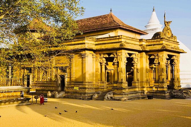 Private Night Tour in Colombo with Street Food Tasting - Kelaniya Raja Maha Vihara and its Buddhist art
