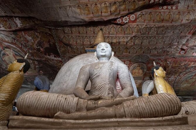 Private Sigiriya Day Tour and Authentic Sri Lankan Lunch Buffet - A Sri Lankan buffet in a farming village