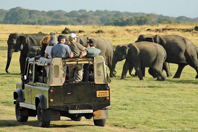 Private Trip to Sigiriya, Dambulla & safari from Colombo/ Negombo - Private transport is useful, but the road day is demanding