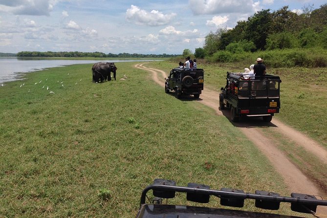 Private Trip to Sigiriya, Dambulla & safari from Colombo/ Negombo - The schedule favors highlights over slow travel