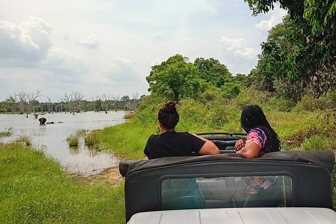 Private Wilpatu National Park Leopard safari from Colombo/Negambo - Who should choose this safari