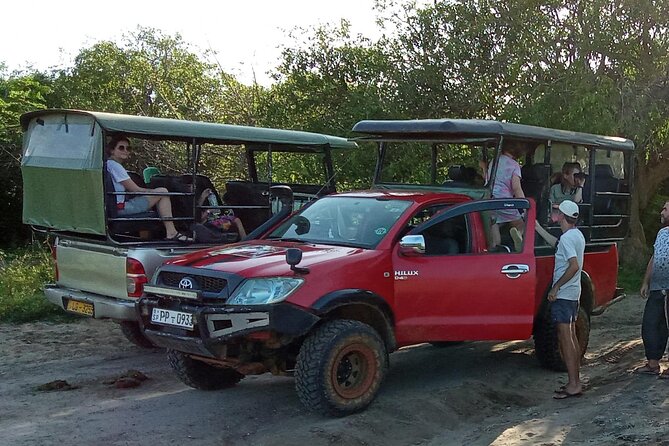 Private Wilpatu National Park Leopard safari from Colombo/Negambo - Lunch before the Wilpattu game drive