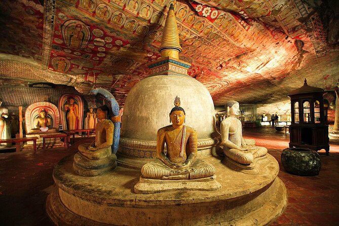 Safari Day Tour to Sigiriya Lion Rock and Golden Cave Temple - Why this Colombo day trip works