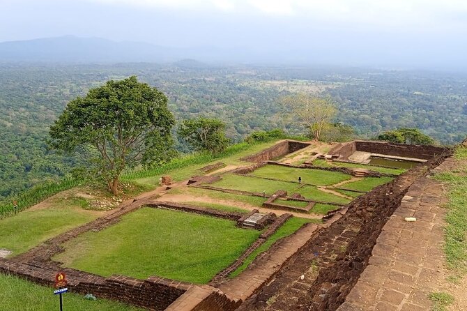 Safari Day Tour to Sigiriya Lion Rock and Golden Cave Temple - Optional village and safari additions