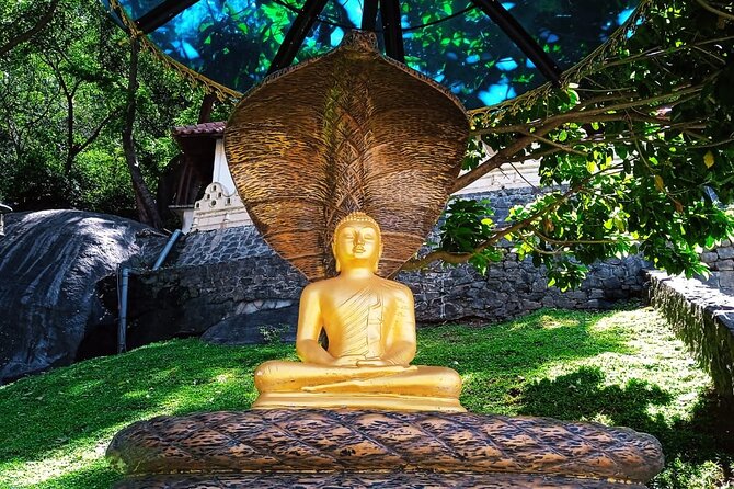 Safari Day Tour to Sigiriya Lion Rock and Golden Cave Temple - The guide, driver, and small-group feel