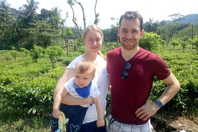 Shore Excursion From Colombo port to Ingiriya Tea Plantation & back for 2 People - Seeing Ceylon tea at Ingiriya