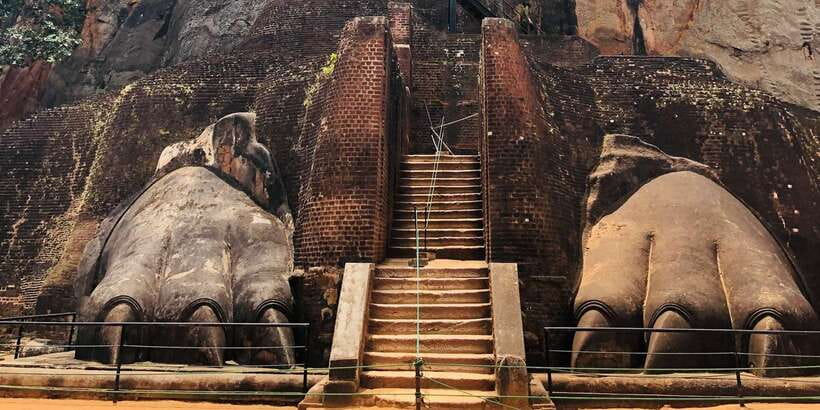 Sigiriya and Dambulla Private Full-Day Tour - Three hours looking for elephants at Minneriya