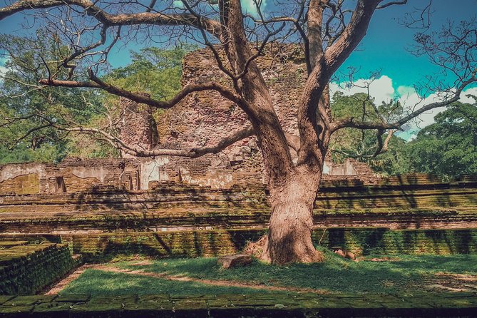 Sigiriya, Polonnaruwa & Dambulla "Trilogy" Day Tour from Colombo - Polonnaruwa: two hours among a medieval capital