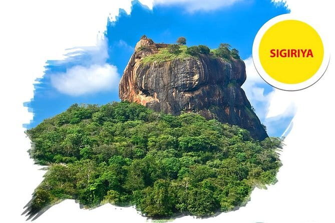 Sigiriya Rock and Dambulla Cave Temple all inclusive Private Day Trip - Who Will Get the Most From This Day