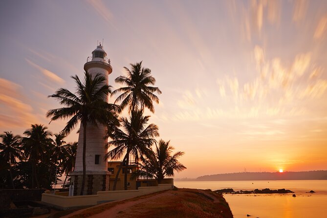Southern Coast Highlights from Colombo - Sea turtles at Galle Mahamodara