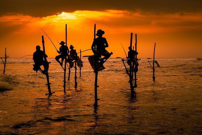 Southern Sri Lanka Sightseeing Day Trip From Colombo & Negombo - Kosgoda turtles and the need to choose carefully