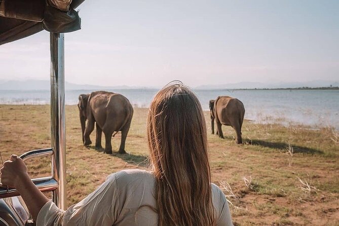 Sri Lanka 03 night 04 days budget tour package - The driver-guide can shape the whole trip