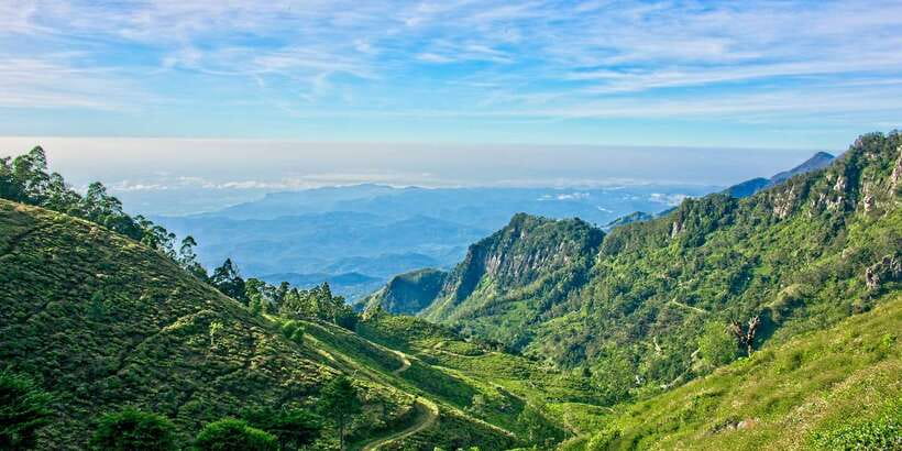 Sri Lanka: 2-Day wildlife tour; rainforest and National park - The overnight stop and what to clarify