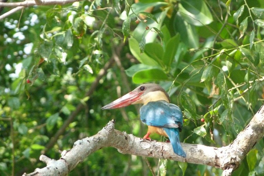 Sri Lanka: 2-Day wildlife tour; rainforest and National park - What the $350 price really covers