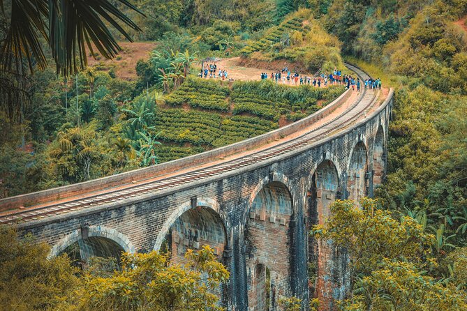 Sri Lanka 5 Day tour Best Nature and Culture include top hotels - Why this route works for a short visit