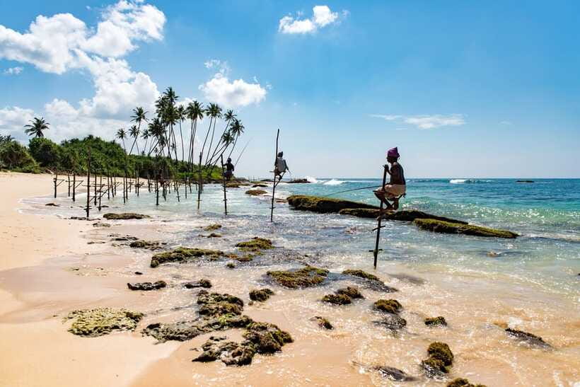 Sri Lanka Green Bless- 2-day Private Trip To Enjoy Nature - Who should book this Sri Lanka nature trip?