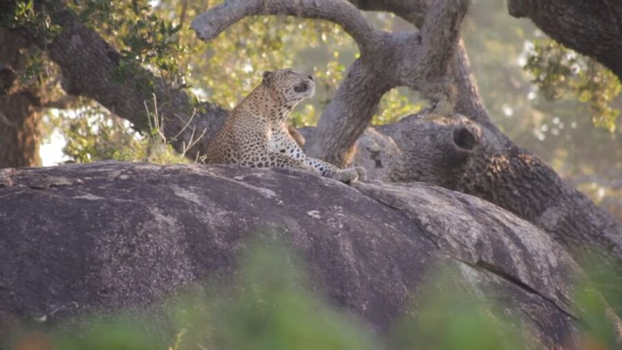 Sri Lanka Green Bless- 2-day Private Trip To Enjoy Nature - What the $298 price really covers