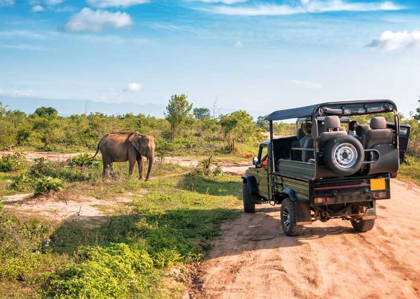 Sri Lanka Green Bless- 2-day Private Trip To Enjoy Nature - The pace, vehicle, and group size