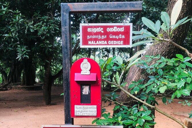 Sri Lanka in 06 Days - Why this six-day route works