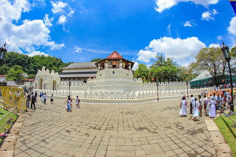 Sri Lanka Nature, culture, history and wildlife in 4 days - Should you book it?