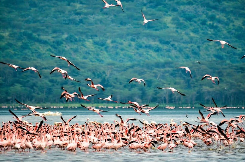 Sri Lanka Nature, culture, history and wildlife in 4 days - Who should book this four-day route?