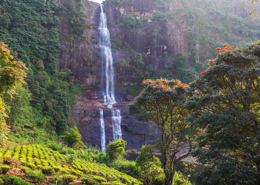 Sri Lanka Private 2-day Tour:Train Trip, Kandy, Nuwara Eliya - Key points to know before booking