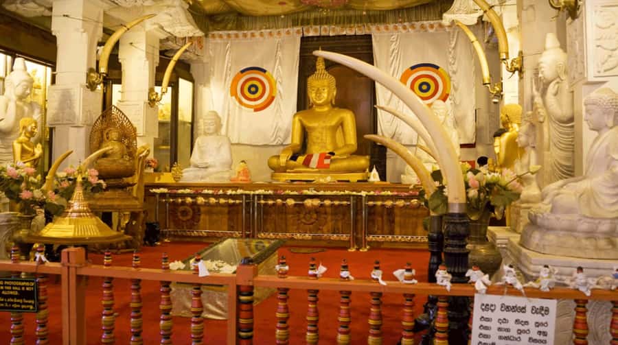 Sri Lanka Private 2-day Tour:Train Trip, Kandy, Nuwara Eliya - Inside the Temple of the Sacred Tooth Relic