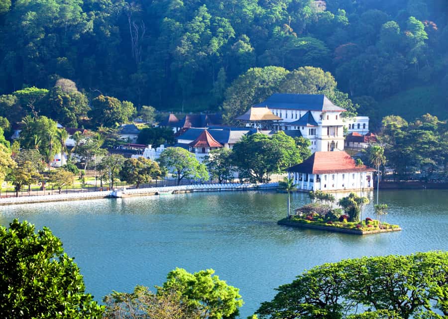 Sri Lanka Private 2-day Tour:Train Trip, Kandy, Nuwara Eliya - Day one: spices, gardens, and Kandy’s sacred center