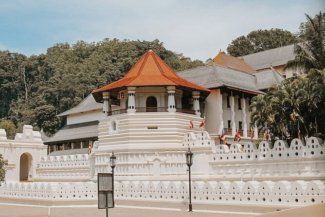 Sri Lanka Tour Plan - 14 Days - Private Transport And Hotel - A rural village, Pidurangala, and Minneriya make a packed third day