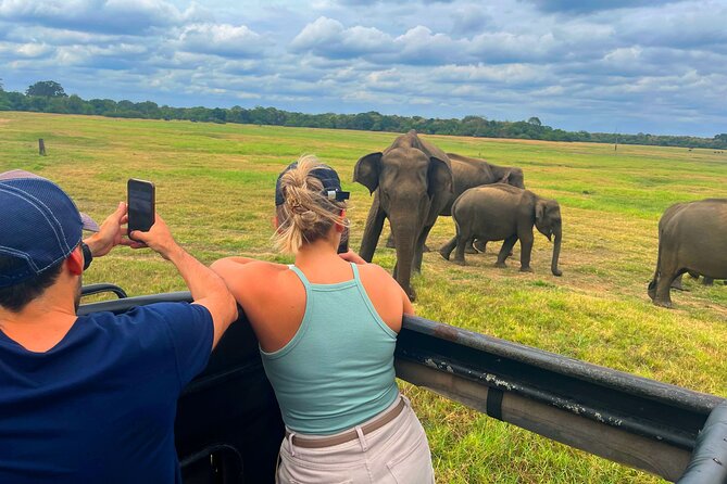 Sri Lanka Travel in 08 Nights 09 Days - Day 3: Minneriya’s elephant country